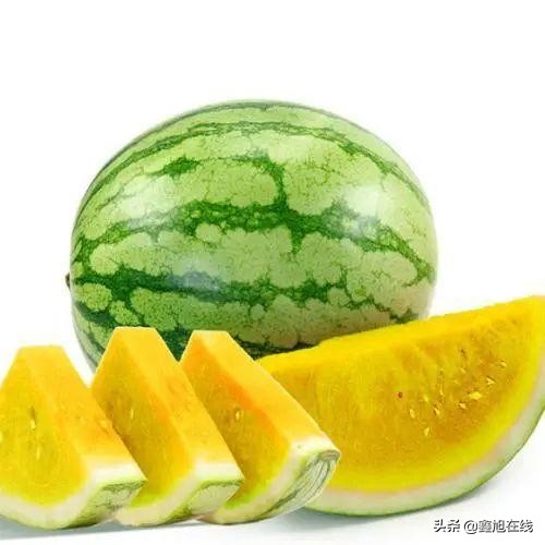 孟津五一有什么可以采摘的果蔬,洛阳孟津五一采摘园推荐