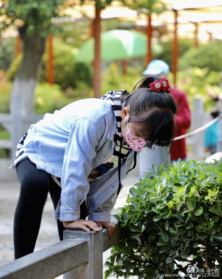 看洛阳牡丹花卉节,洛阳古都牡丹花展