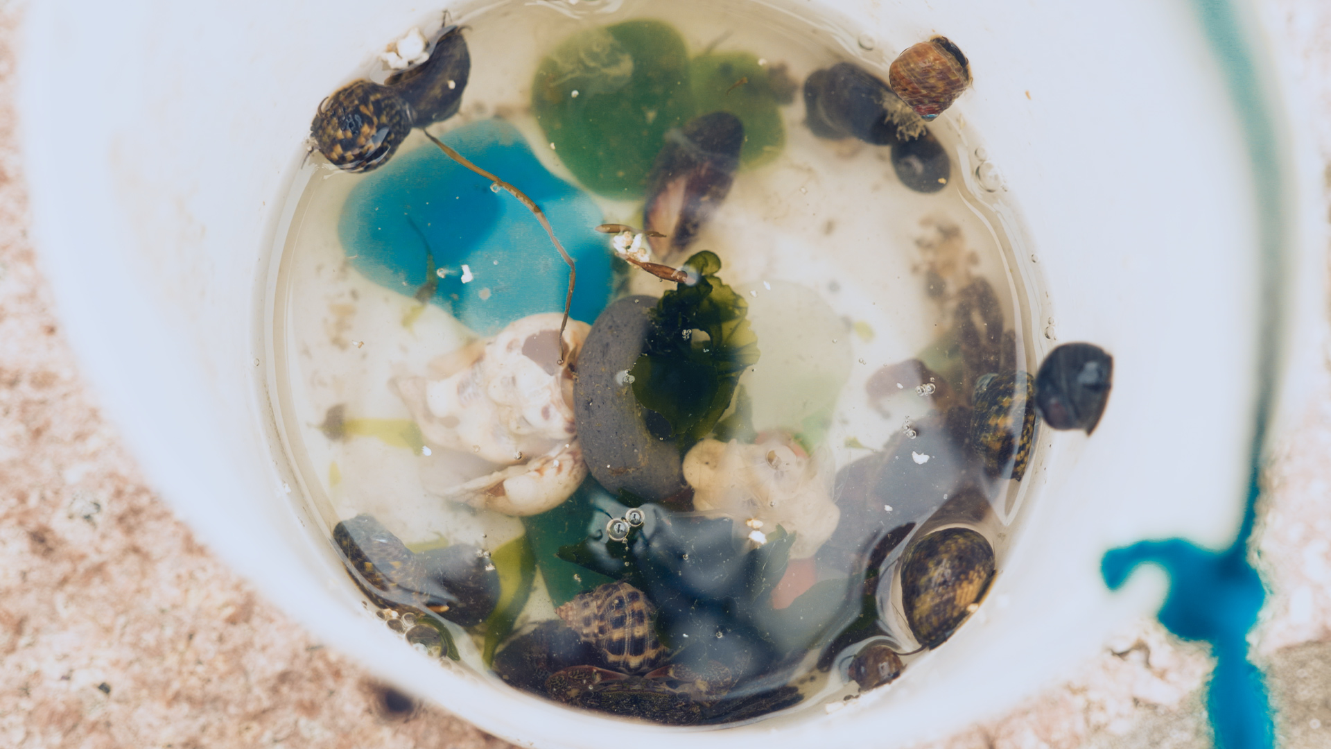 浙江嵊泗列岛三日游,嵊泗四日游旅游攻略