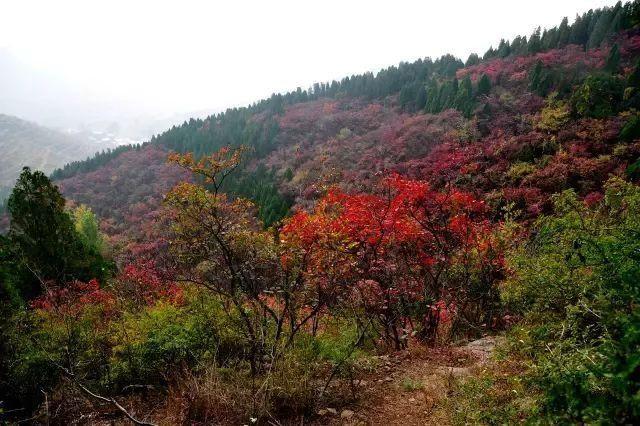 济南旅游景点推荐带孩子玩,济南旅游景点推荐适合带孩子
