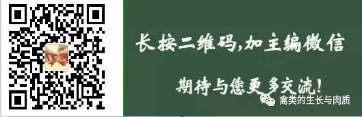 鸡病诊断五大注意事项,鸡病快速诊断与防治技术