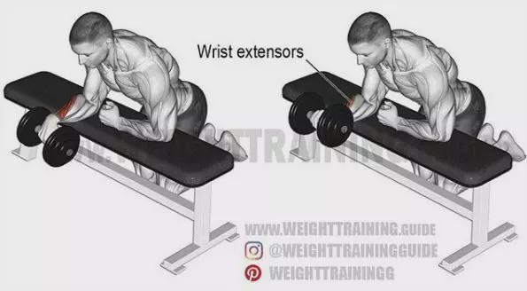 胸肩背臂腿腹训练动作,腰臀肌肉训练方法