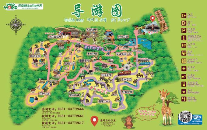 济南动物王国一日游详细攻略,济南一日游动物园