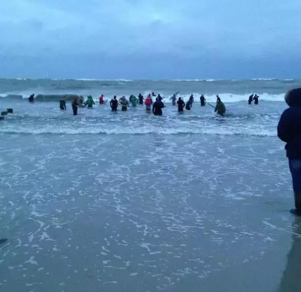 在俄罗斯,琥珀蜜蜡可以随便捡?