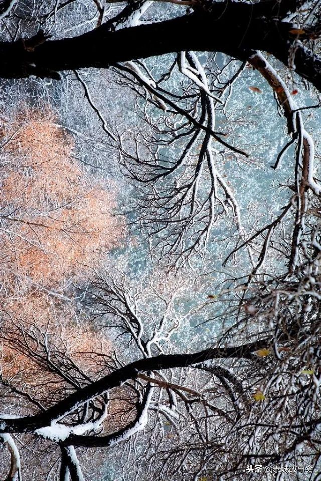 泰山美图100张,泰山云海美图