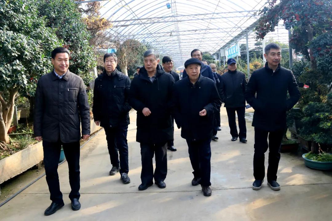 宿迁市沭阳县沭阳国际花木城,沭阳国际花木城布局