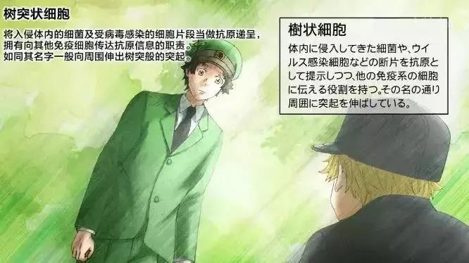 关于NK细胞你不知道的那些事儿,NK免疫疗法预防癌症