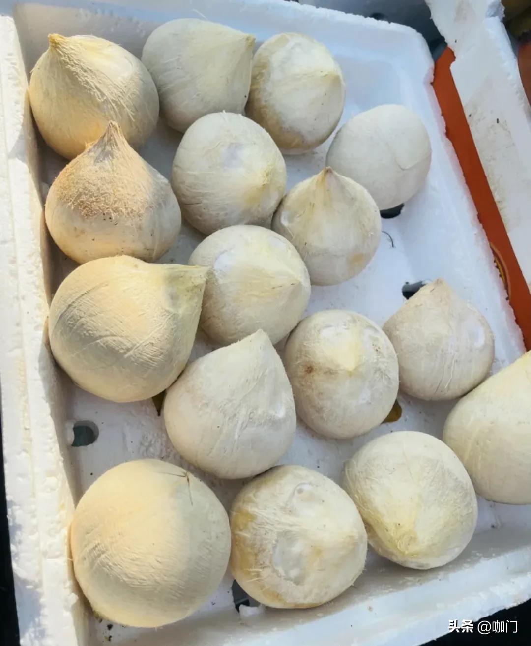 椰子直接加咖啡,新鲜椰子如何做椰子咖啡