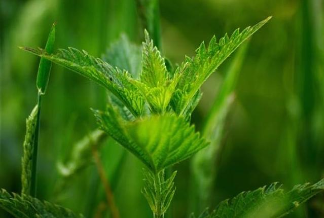 5个方法让你告别油头清爽一整天,夏天拯救大油头的妙招儿你get了吗