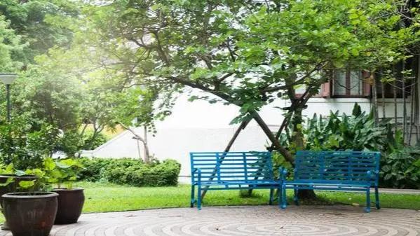 庭院水泥地面夏天热怎么办,农村水泥地庭院太热