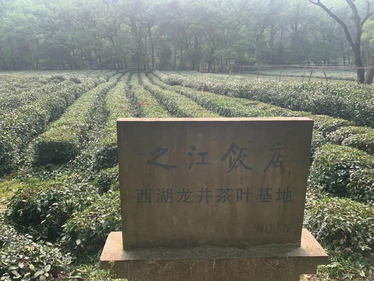 龙井村九溪十八涧徒步最佳路线图,九溪十八涧只有龙井村一个出口吗