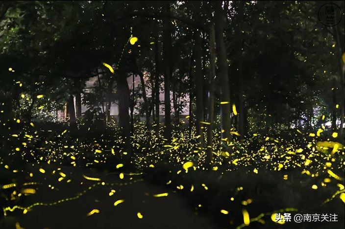 中国最美高铁线路沿途风景,中国最美高铁旅游线路