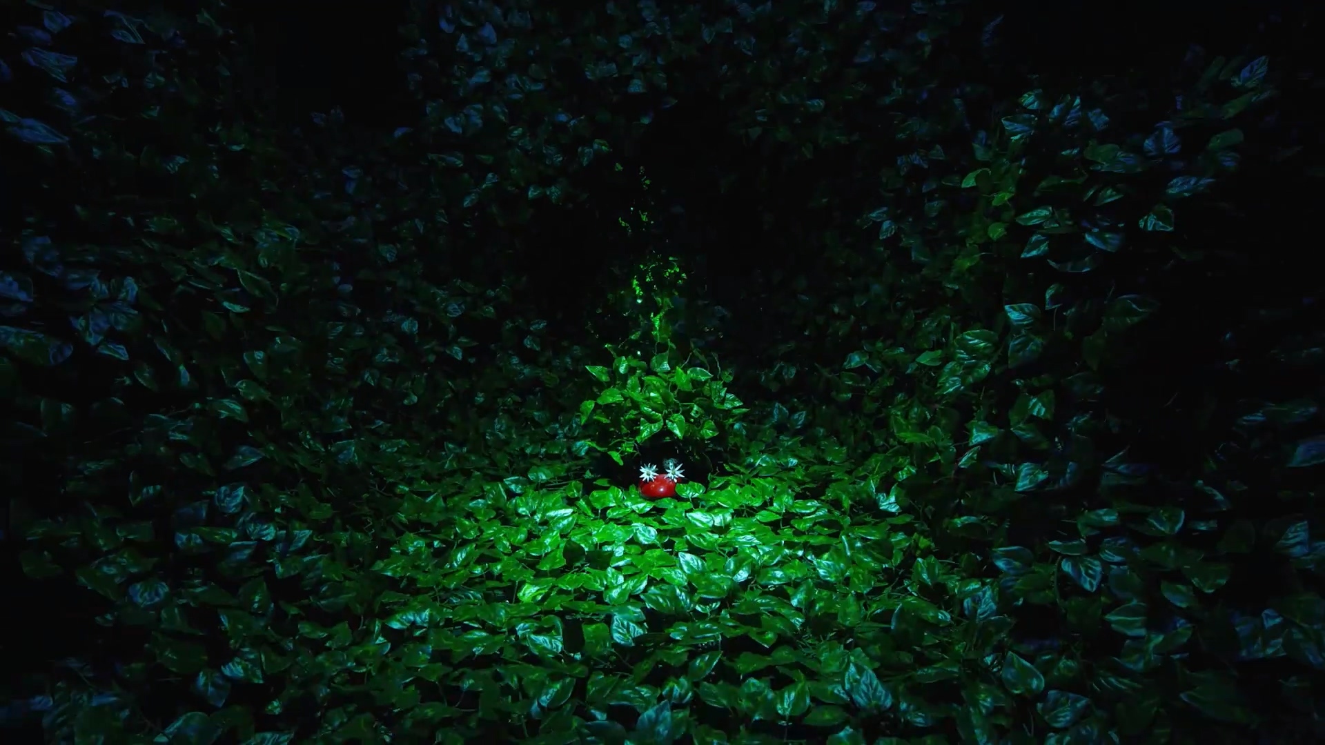 如何用垃圾拍成一部惊艳的电影