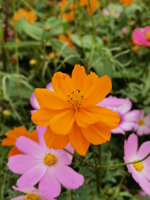 福州登云水库生态公园,福州新晋网红打卡景点在哪里