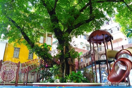 广州越秀区珠光街幼儿园怎么样,广州越秀幼儿园排名一览表最新