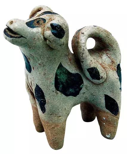 中国狗品种常见小型犬,狗狗种类中小型犬