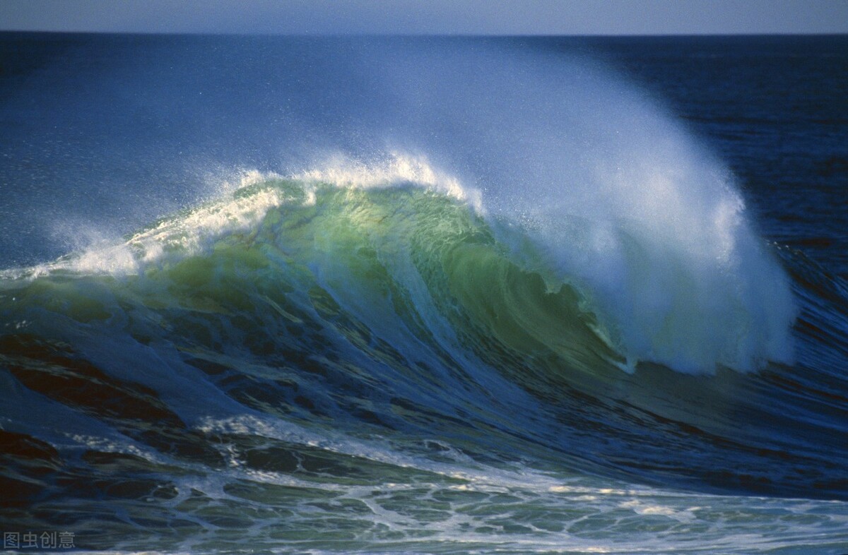 虾米眼里的自由，乌龟内心的美好，离鲸的世界差了一座海洋