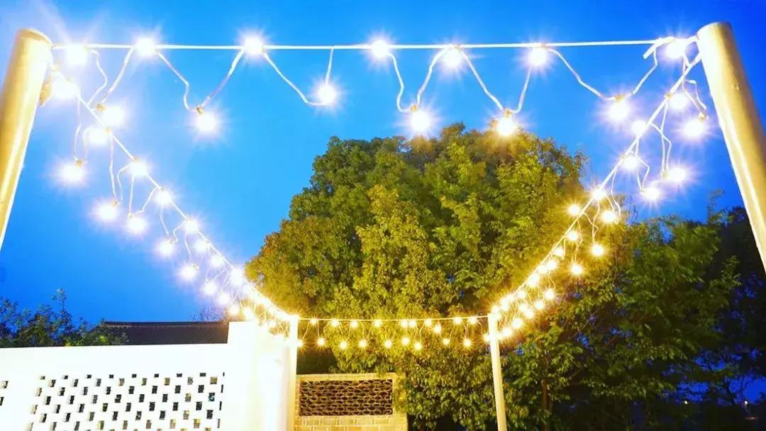 去上海必去的民宿,上海树林民宿推荐