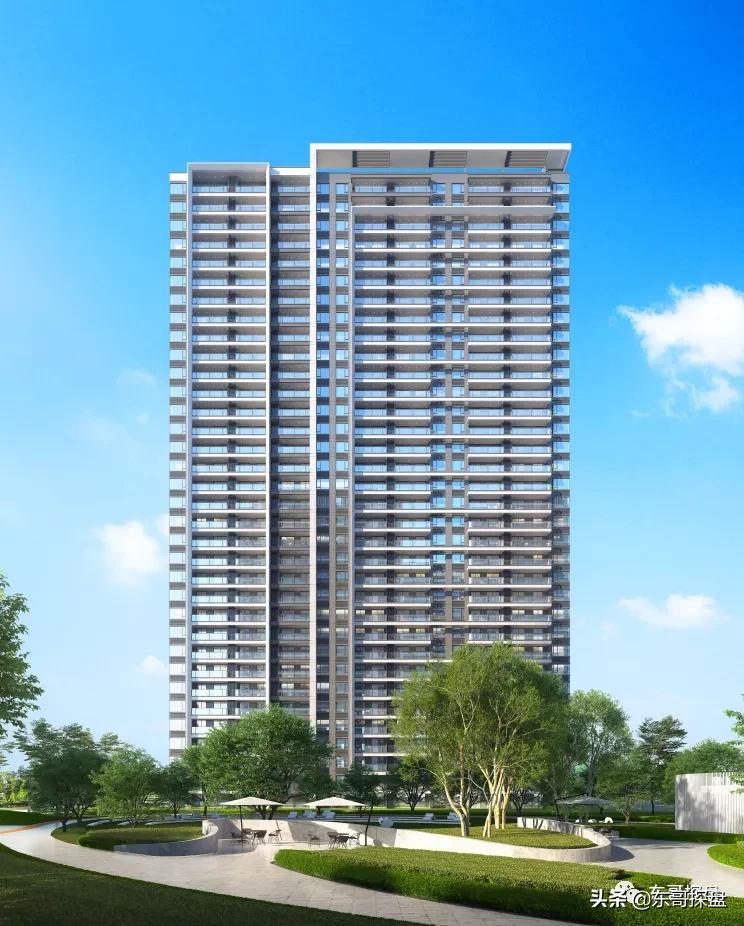 万万没想到，他捅了郑州刚需盘的“窗户纸”