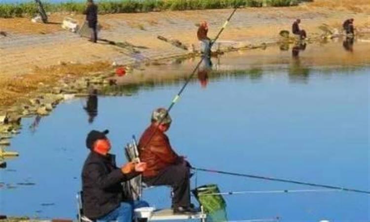 黑坑钓鲤鲫用什么饵比较合适,春季黑坑钓鲤用什么添加剂