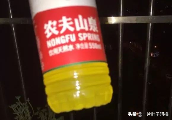 自制养花水配方除臭,养花自制10种消毒水不招虫不烂根