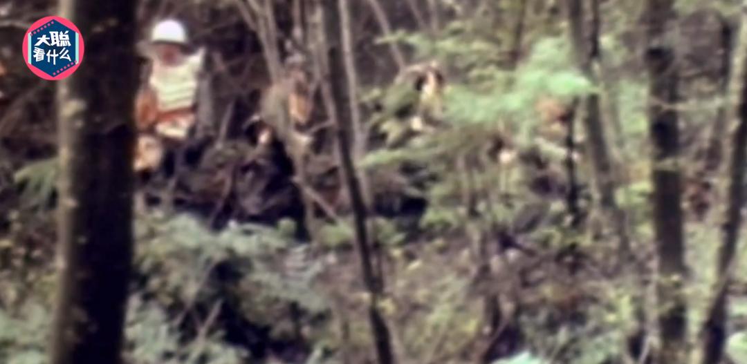 洛基库珀劫机案,库珀劫机事件洛基