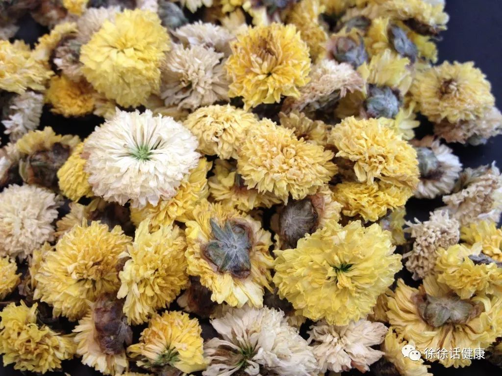 贡菊亳菊杭菊怀菊,毫菊滁菊贡菊杭菊谁的功效最强