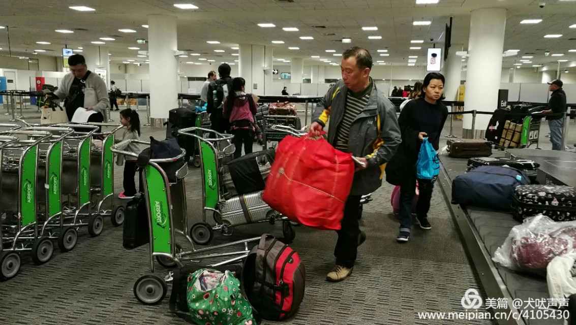 花甲后的新西兰自驾之旅（一）