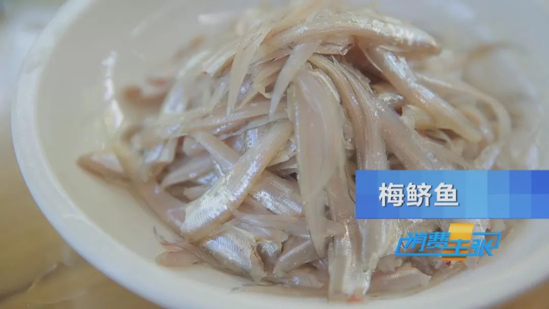 直击太湖开湖现场！鲜美湖鲜大量上市，资深吃货准备好了吗？