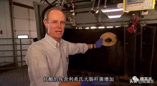 因为一个汉堡,她亲眼看着儿子死去!美国工薪阶层吃的食物有多脏