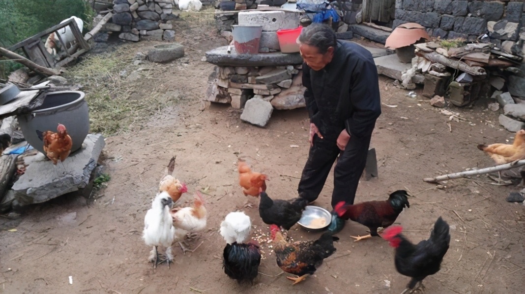 散文落叶片段,散文落叶歌曲