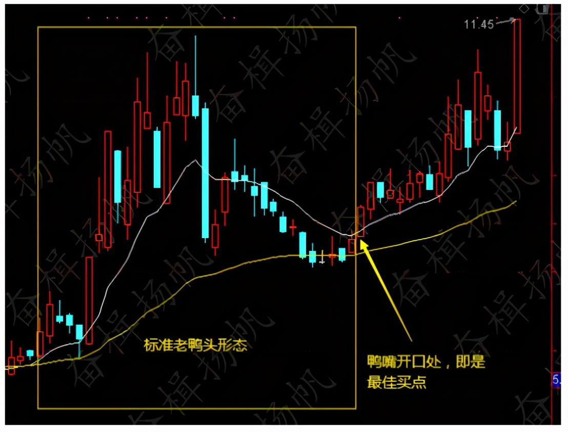 牛股二次启动前必备特征,如何快速找到老鸭头形态的股票