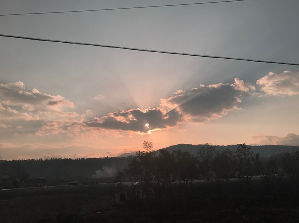 鑺掑競鍜岃吘鍐茬憺涓藉摢涓ソ,鑵惧啿鐟炰附鑺掑競瑗垮弻鐗堢撼