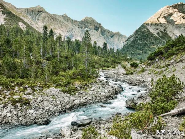 瑞士人竟然这么爱喝,拥有是世界遗产的葡萄园,作业还在靠手工