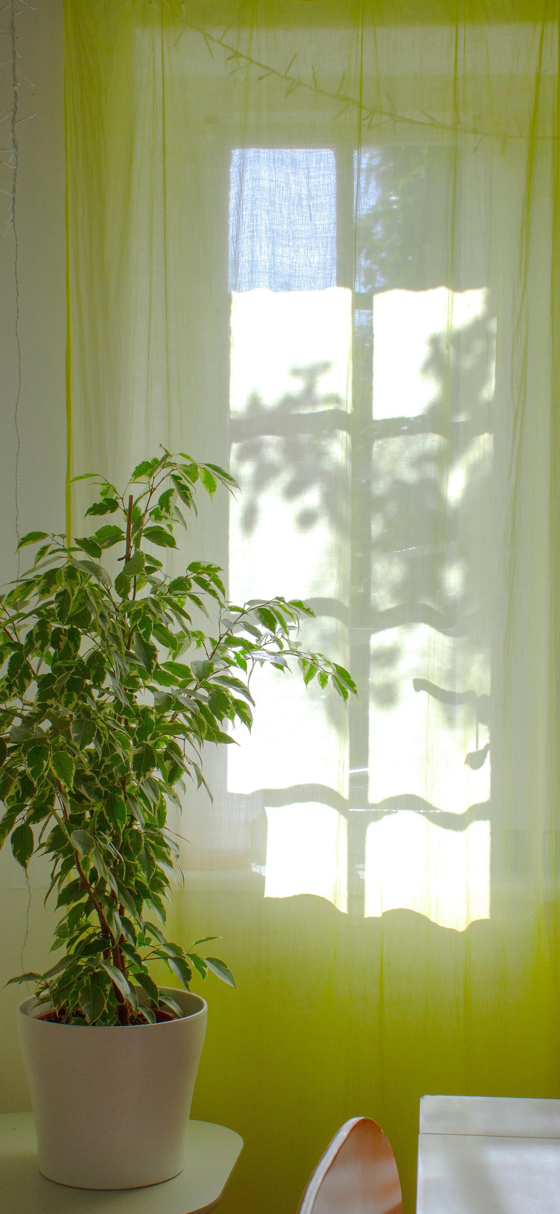 “千挑万选”手机高清壁纸