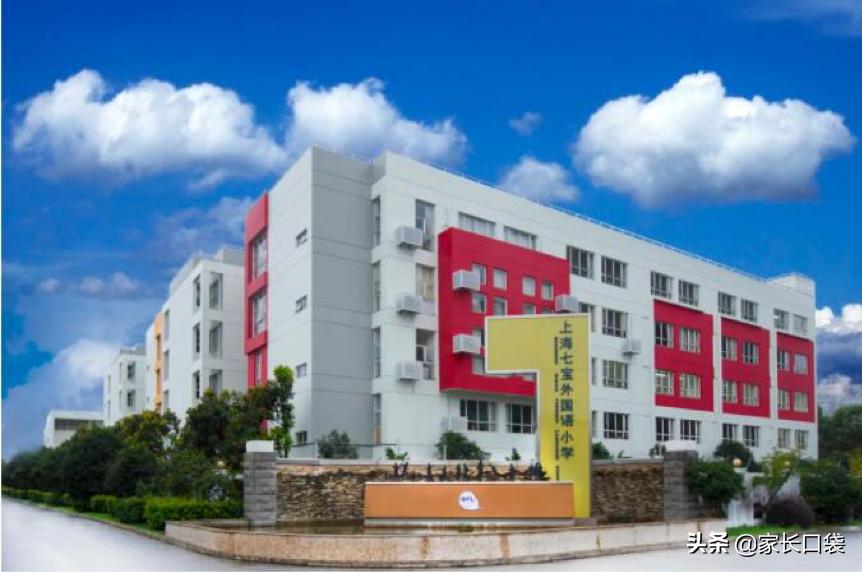 上海十大鸡血学校,上海最好的鸡血小学排名