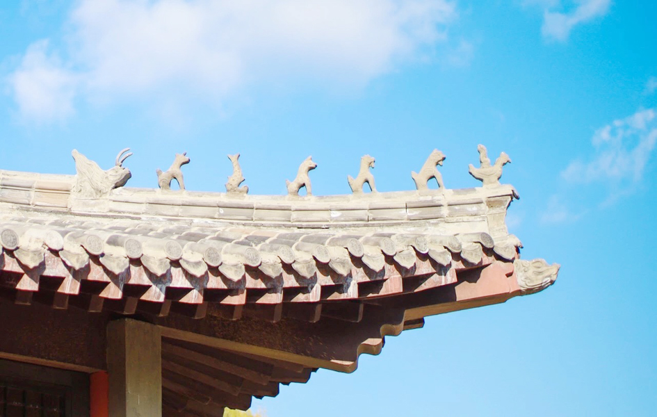 招远淘金小镇2024年,招远淘金小镇免费开放时间