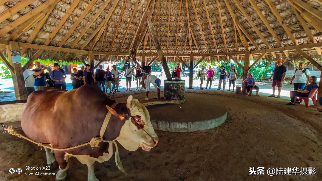 塞舌尔克里奥尔人,人间伊甸园云赏奢华度假地塞舌尔