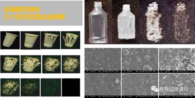 这个诞生不过百年的材料，却让发明者自杀“谢罪”