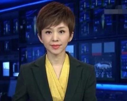 我最喜欢的节目主持人,央视主持人排名前十名都有谁