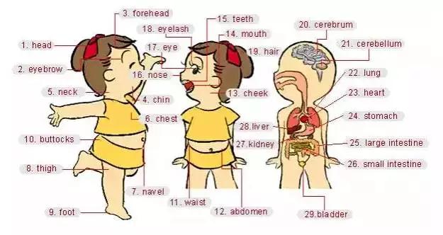 英语听力场景词汇大汇总，高一、高二、高三均适用