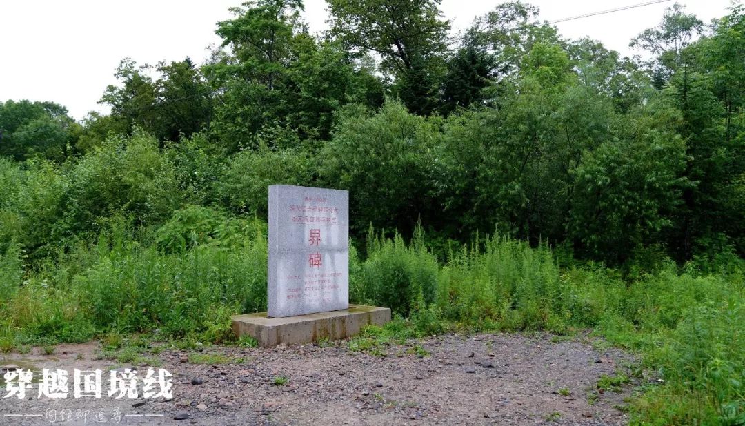 第二次世界大战的最后战场东宁,二次世界大战总兵力