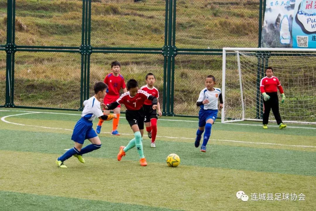 冠豸山旗舰足球俱乐部,冠豸山足球队