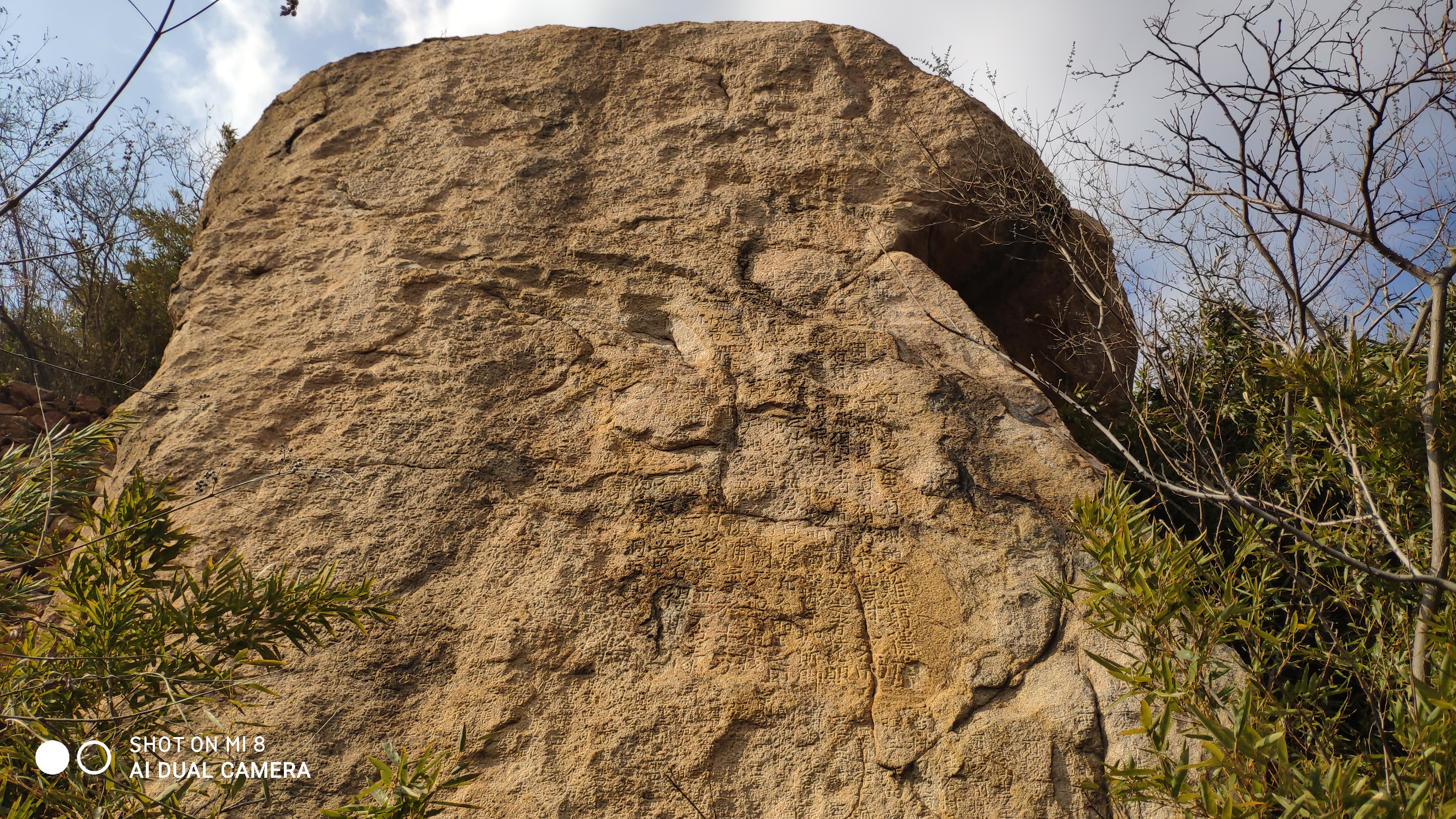崂山水畔菜蔬鲜，黄石洞中书韵长
