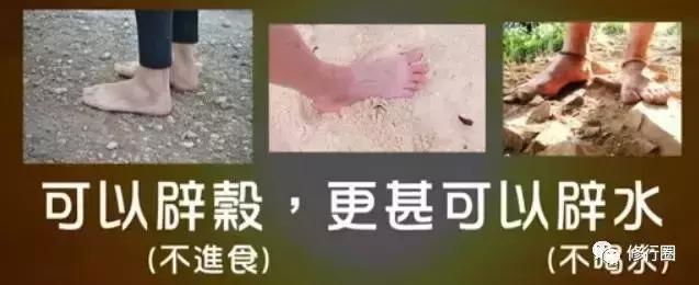 以太阳为食物的人,以阳光为食