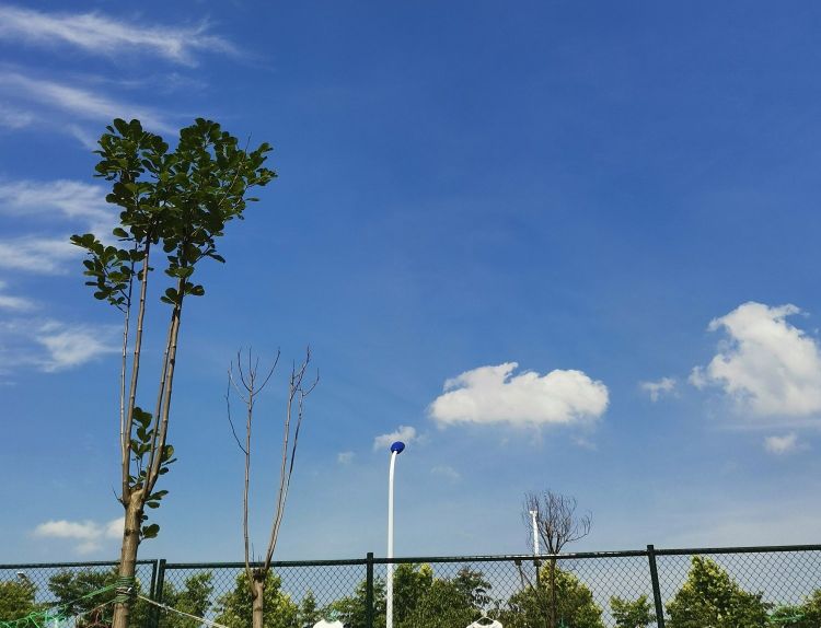 我到底是个怎么样的人配乐,我到底是一个什么样的人模板