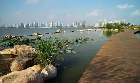 2020年婚纱照风格苏州,苏州婚纱照性价比高的推荐