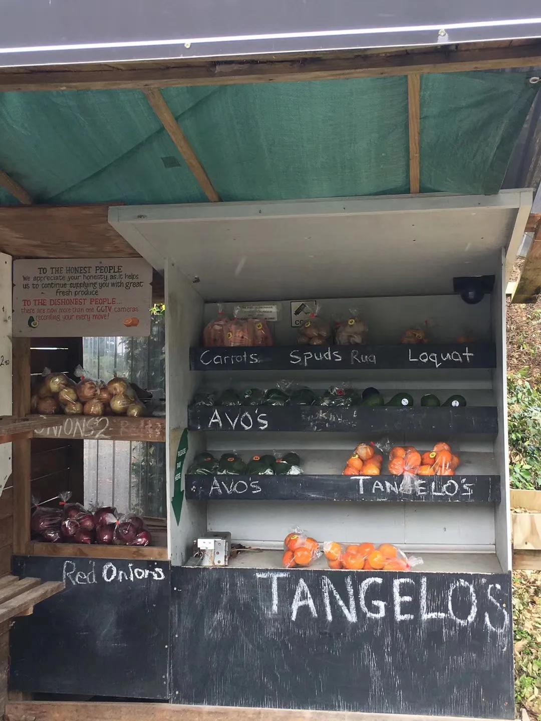 记忆中的旅行之新西兰(北岛)