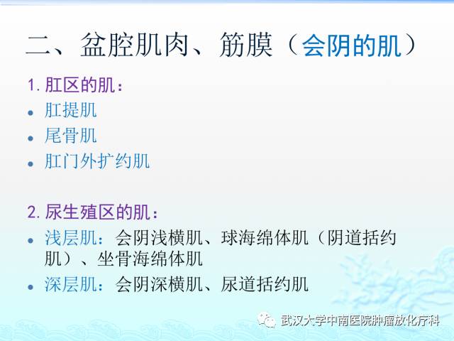 女性盆腔解剖与断层影像