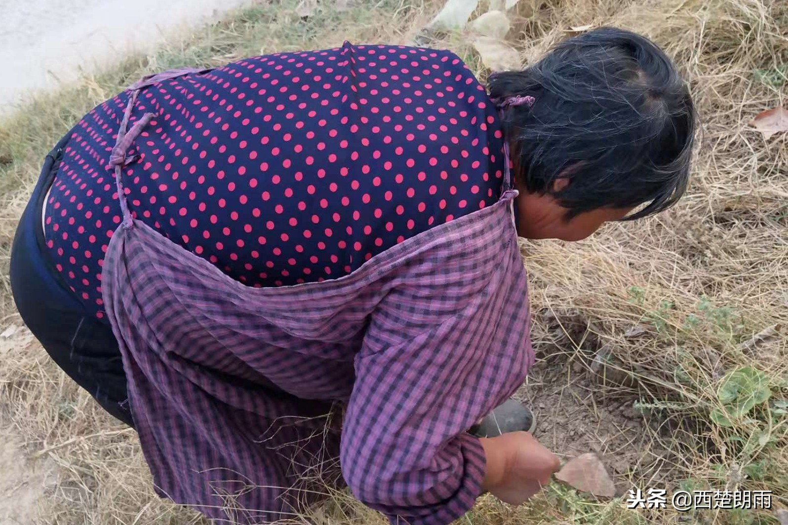 老人双手磨破捉虫想“救”血癌孙被儿子泪拒,跪求老天放过孩子